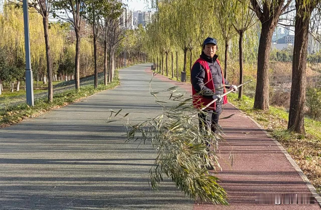 柳树枝扫把，方便实用！
清早去住所附近的渭河公园转悠，看见柳树成荫的步行道上，一