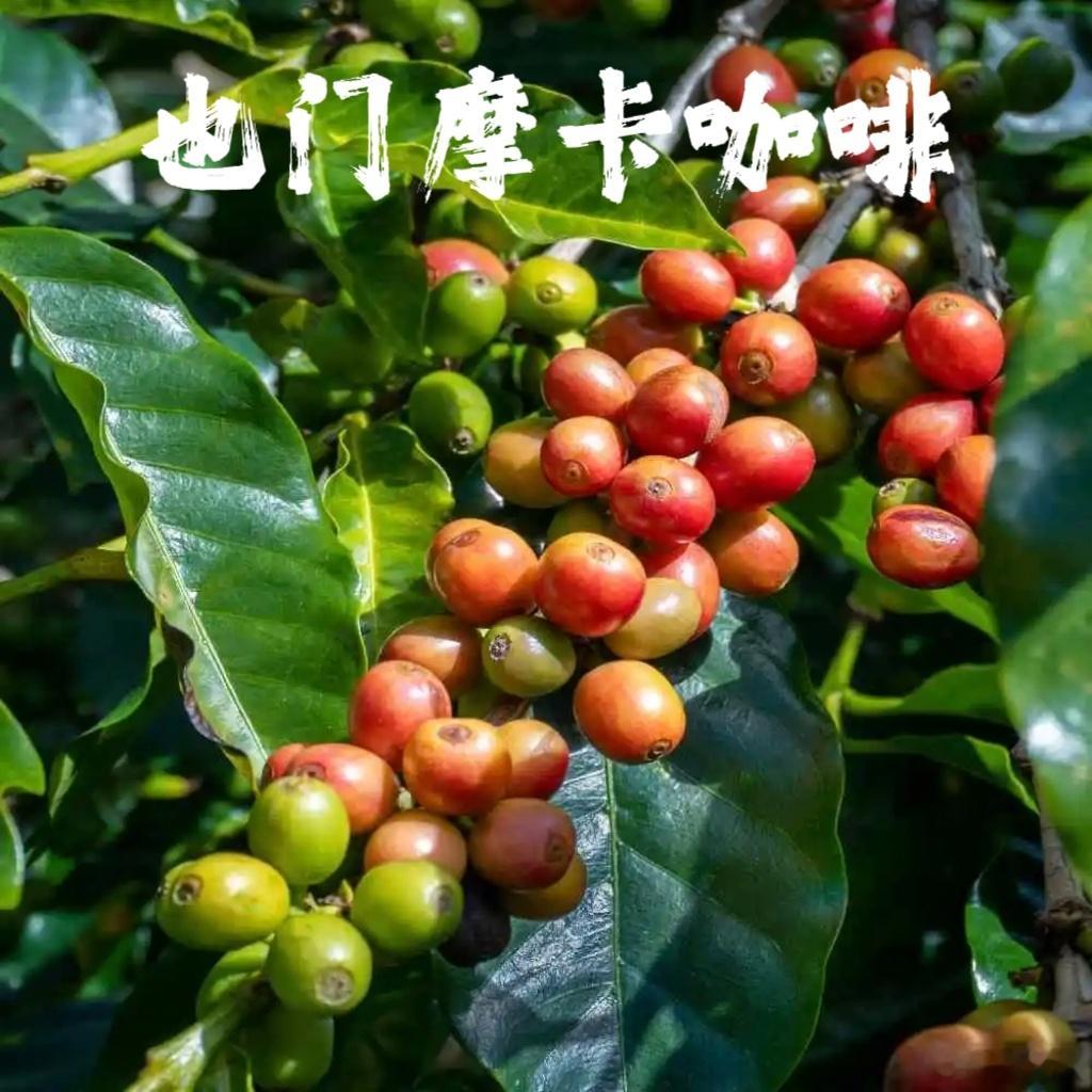 全世界最优质的十种咖啡你喝过哪几种？全部喝过的朋友，一定是大牛！你认为好喝的咖啡