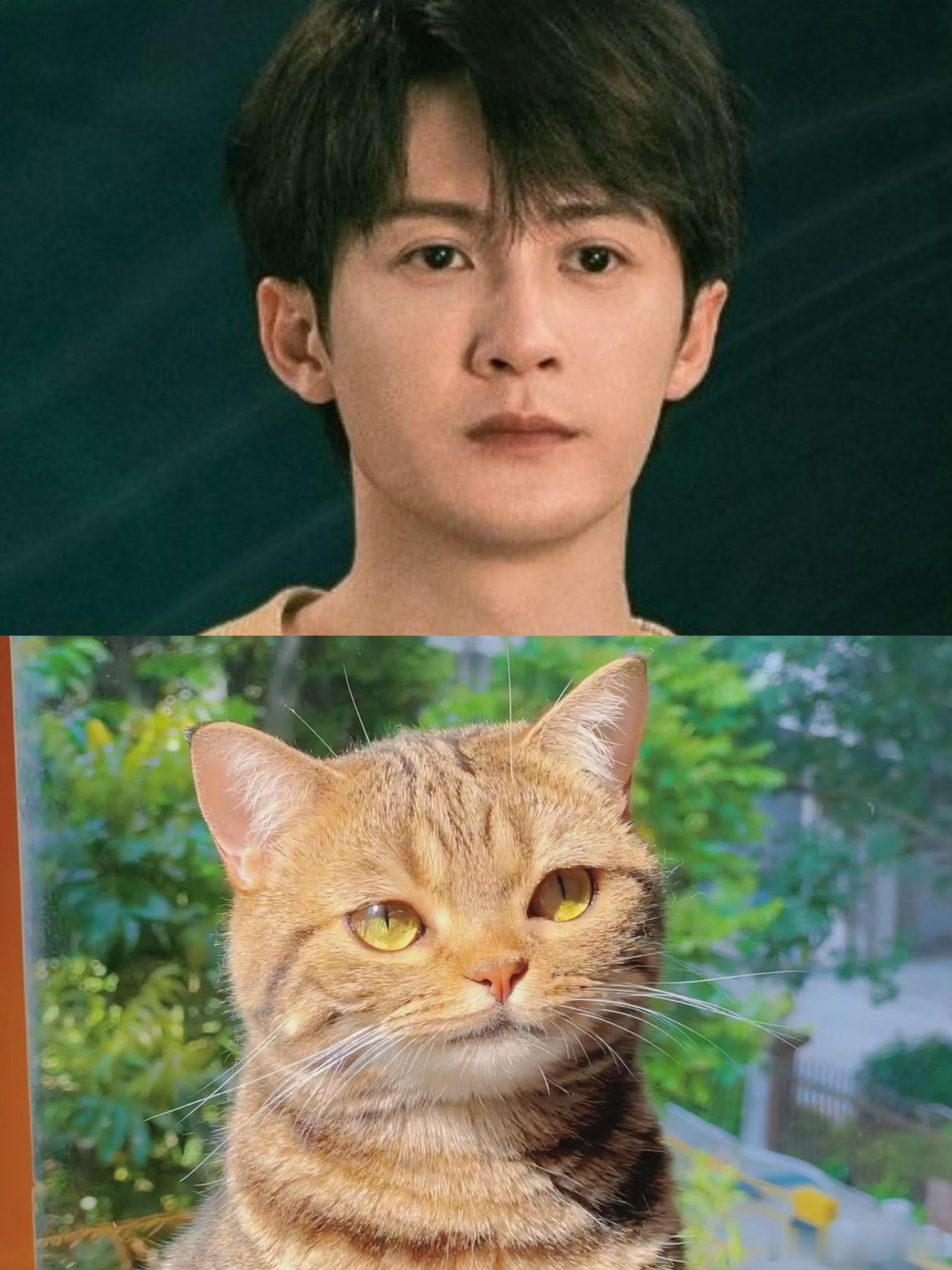 第一个猫塑周翊然的人是天才🐱天生自带小猫氛围感，眉眼清秀软嫩，安静腼腆的模样，
