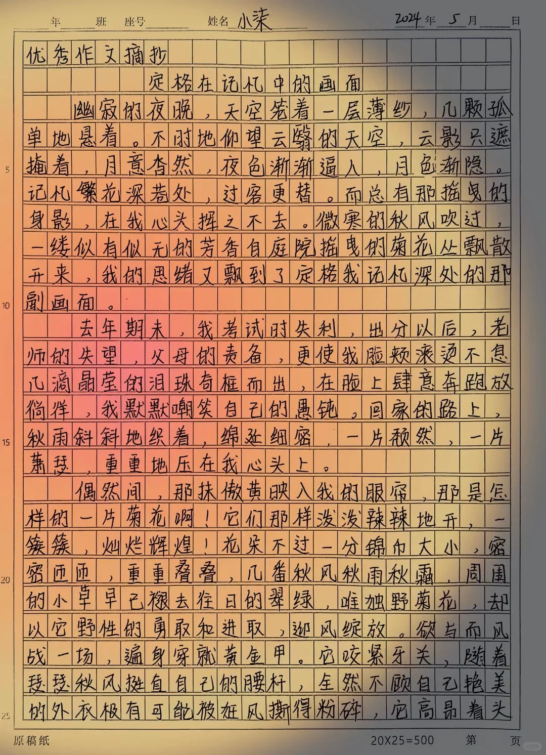 定格在记忆中的画面
