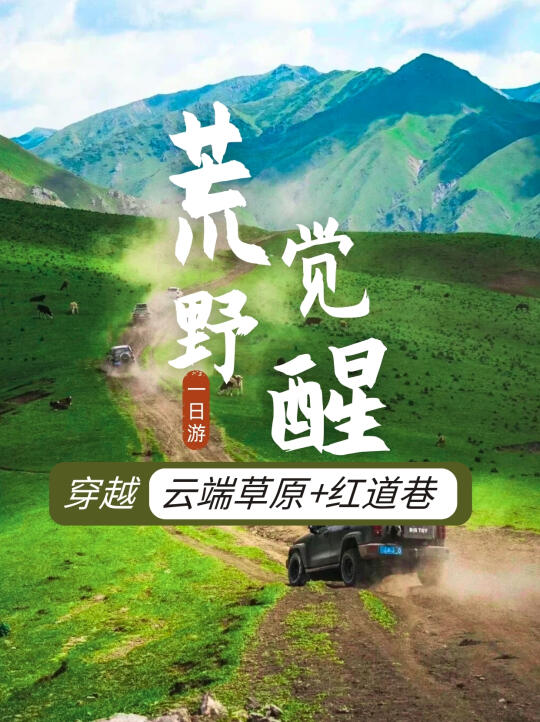呼和浩特越野穿越|草原+牧场+林海💯