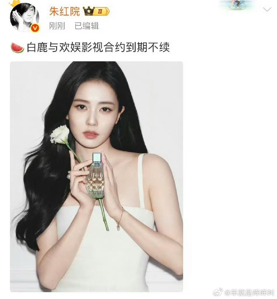 哦莫！🍉白鹿与欢娱影视合约到期不续 