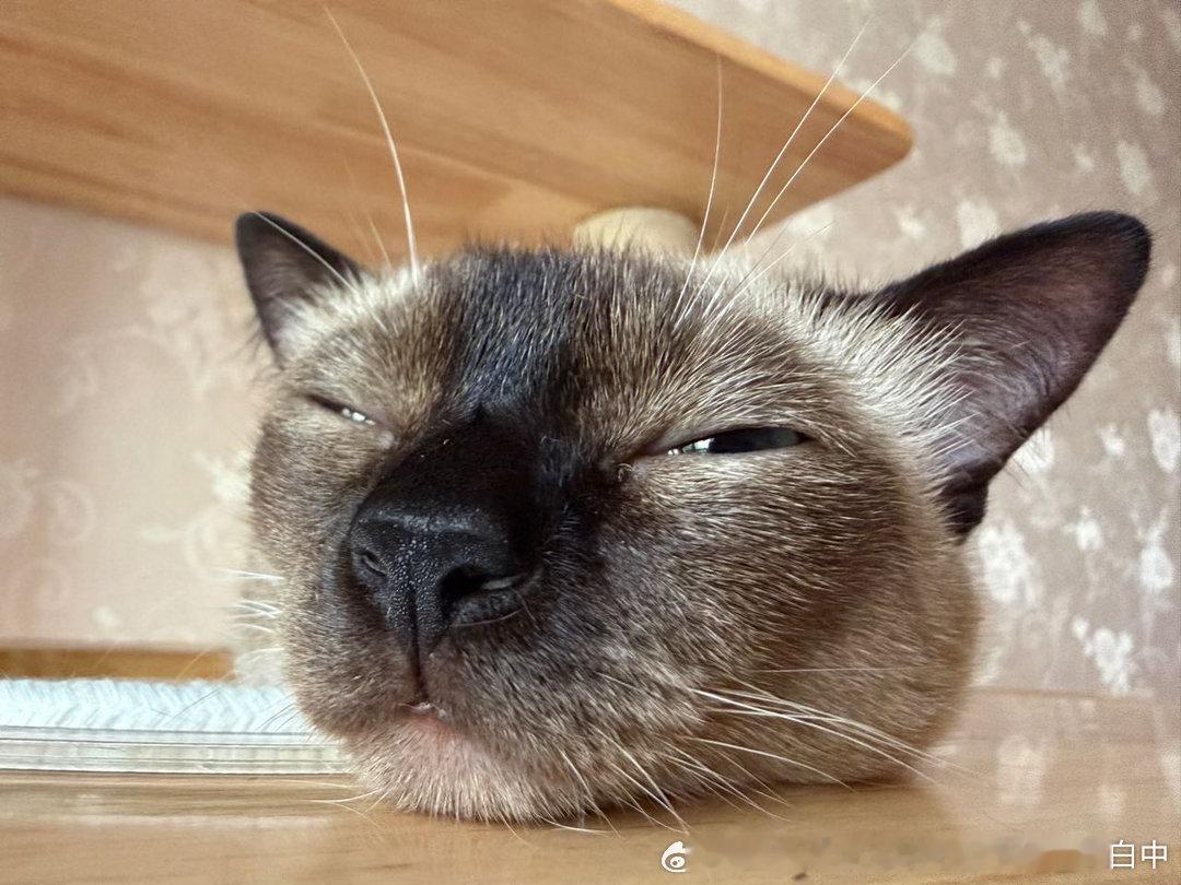 早安逼罗