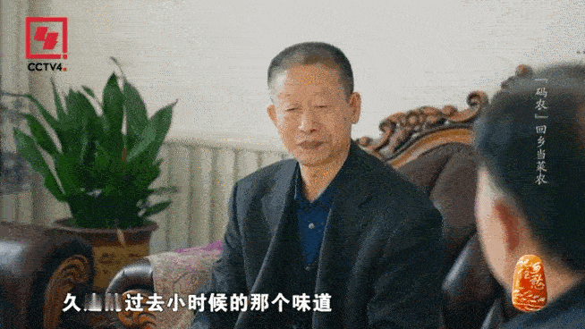 #程序员回乡种小时候味道的西红柿# 梁其安不愧是我见过最优秀的程序员，原来程序员