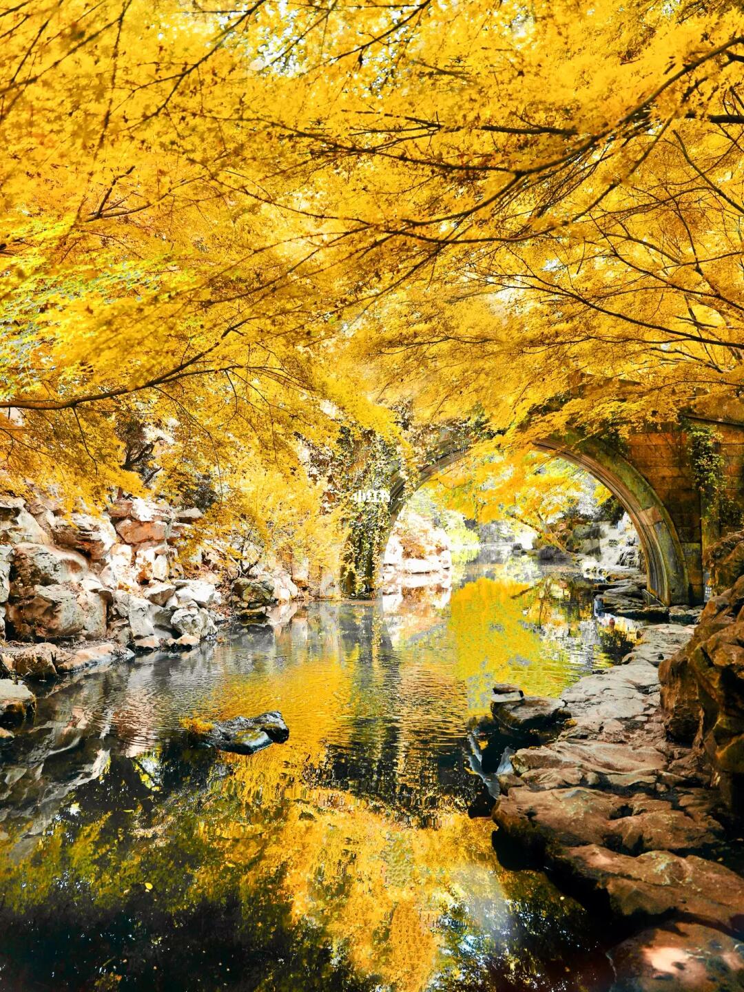 杭州citywalk|西湖一日游🚶🏻‍♀️轻松不累版