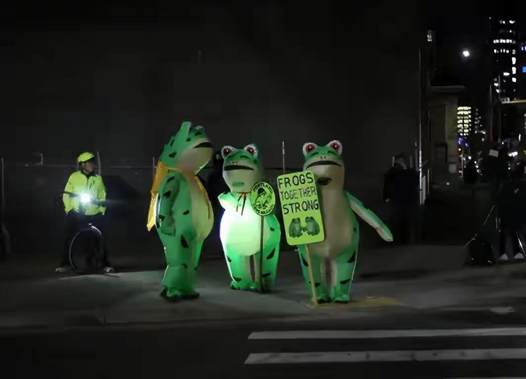 别笑美国街头的充气青蛙滑稽！
这届抗议者玩的“幽默反杀”
比喊口号、举标语高级不