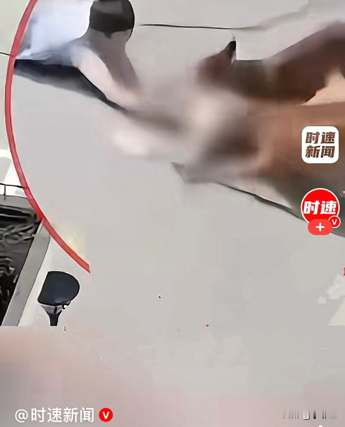 近日，上海青浦一小区，年幼的孩子正在小区户外玩耍时，突然有两只大型犬从小区外闯入