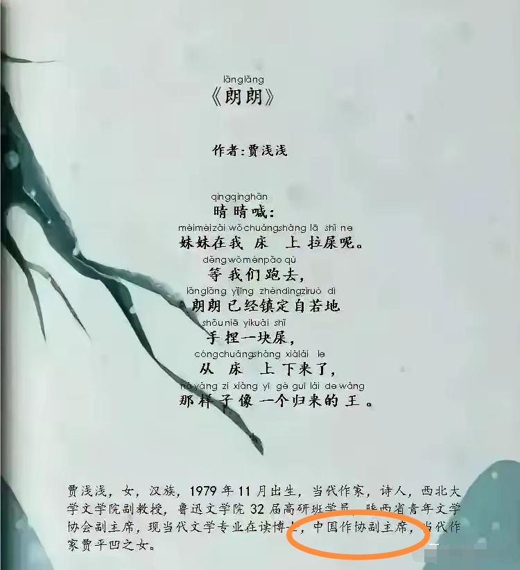 贾浅浅是中国作协副主席！可以这么理解吗？看图文，是这个意思吗？
这标点符号用的，