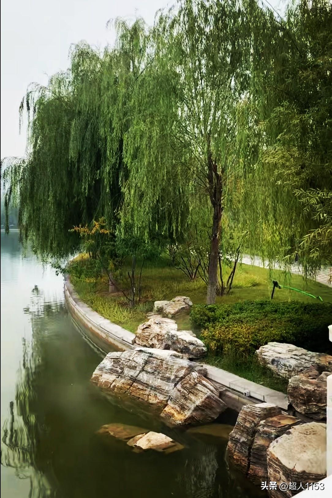 人间最美是三月天
鸟语花香垂柳如烟。

青山绿水花儿一片，
阳光美景温暖人间。