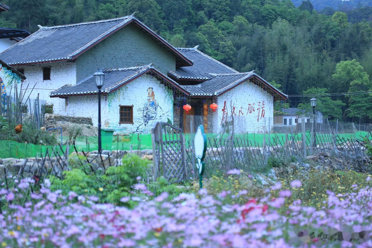 #旅游# 广东河源(万绿湖)隐藏了一个世外桃源，90%的人都不知道，闲时清茶小酒