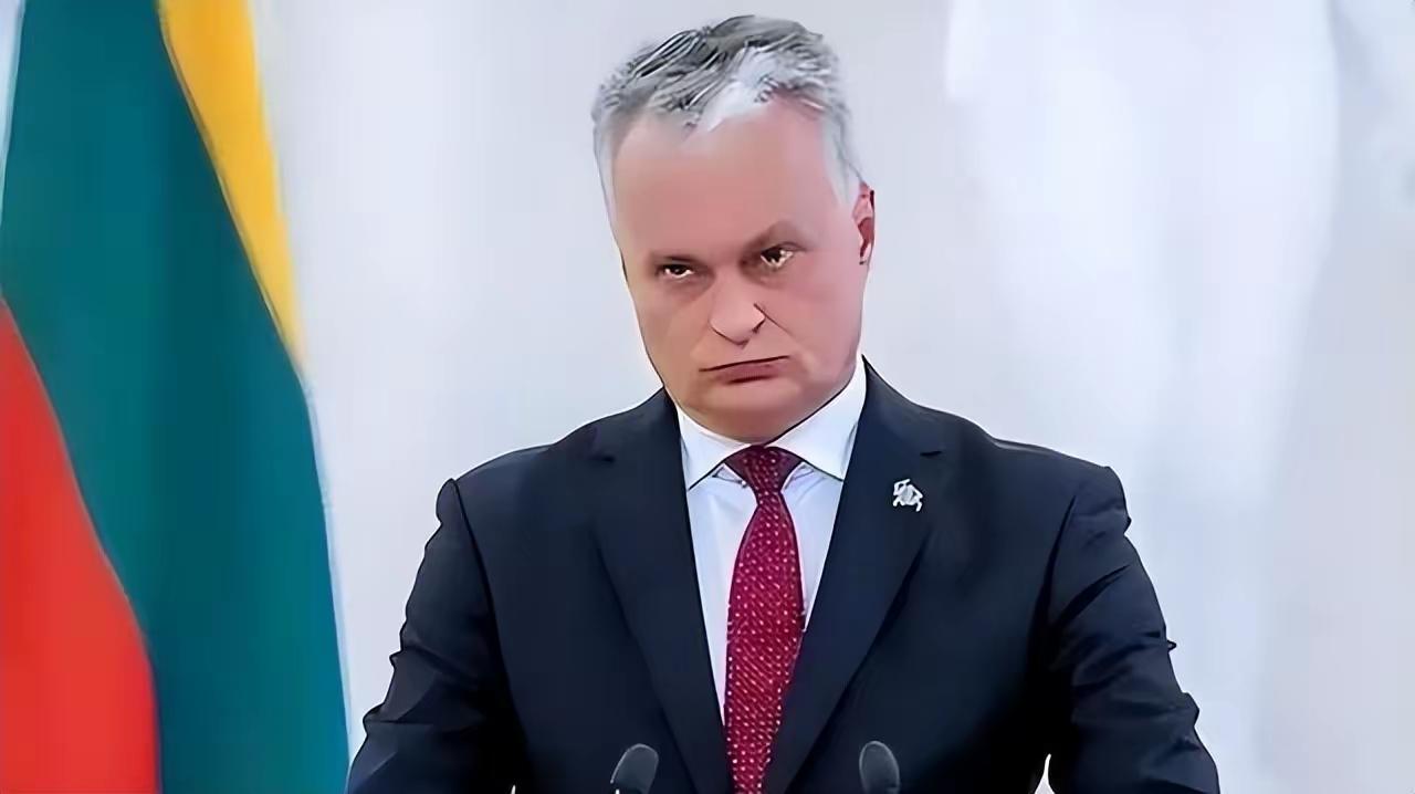 以静制动、一招破局：中国冷落立陶宛，彻底撕碎欧洲政客投机剧本
 
对付欧洲个别政