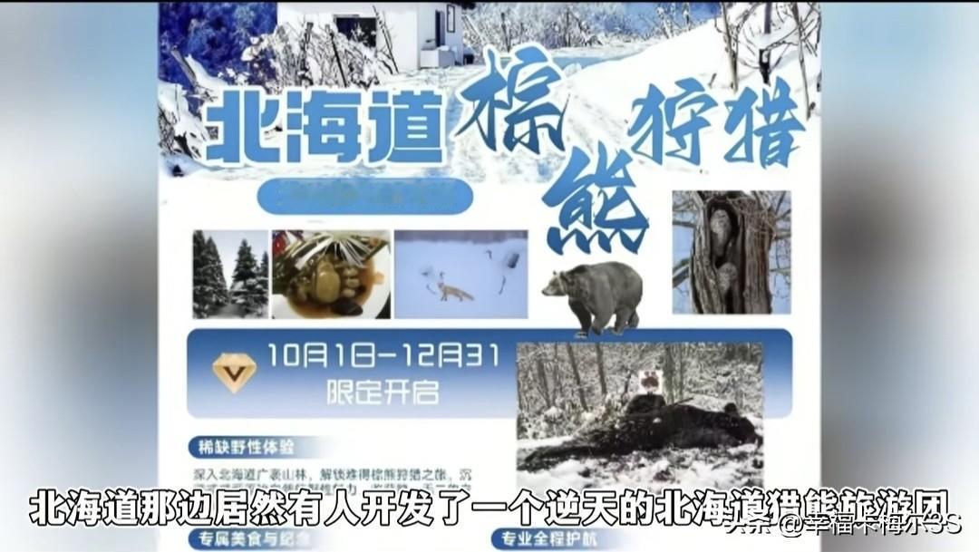 日本熊灾泛滥，于是搞了个逆天操作，开了一个旅游团让中国游客过去猎熊，真是核废水喝