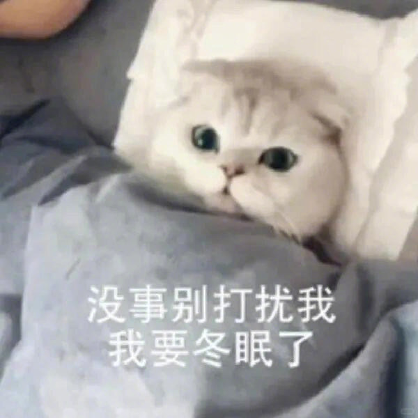 降温速冻表情包