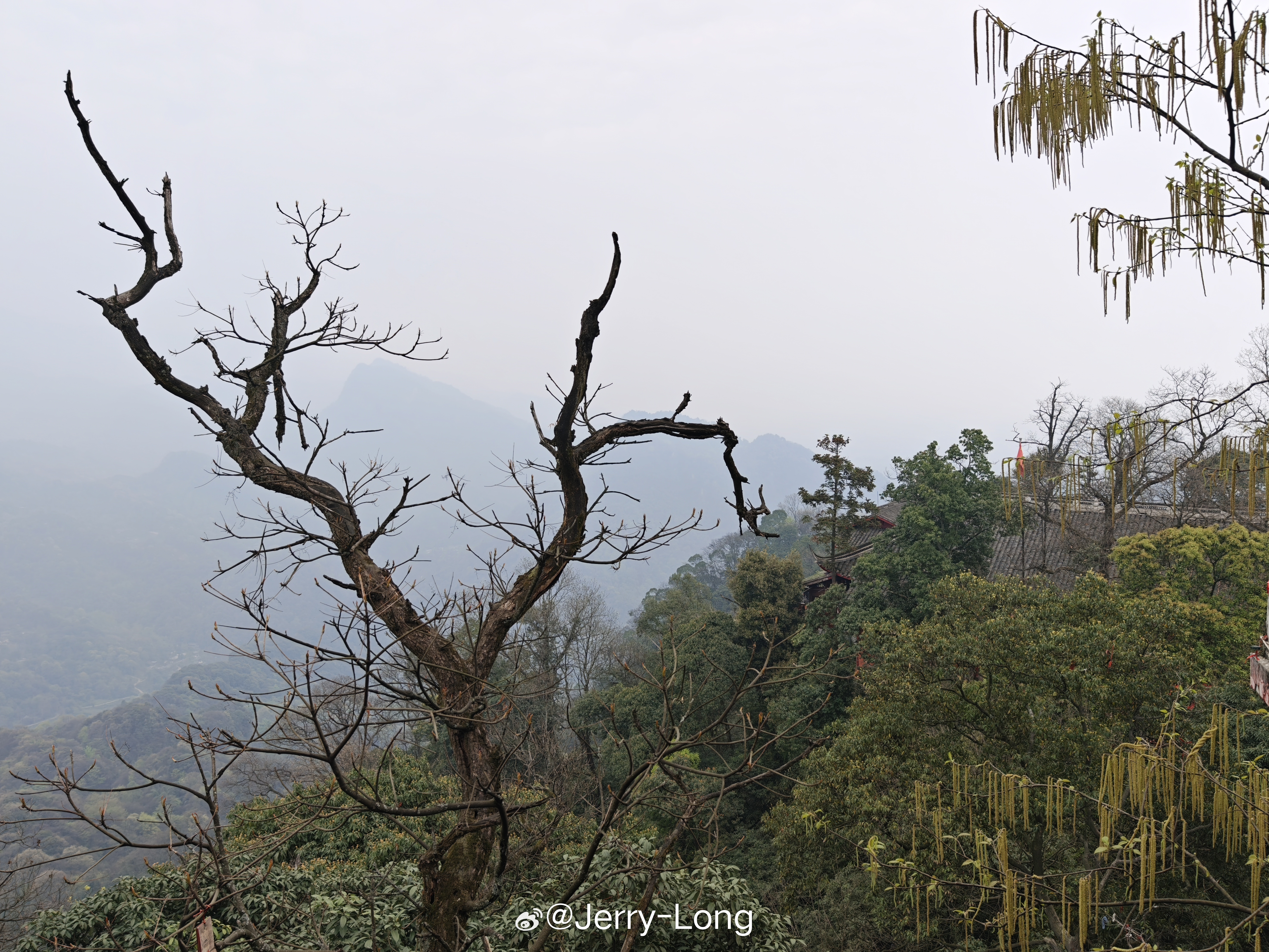 小心青城山拿捏 都江堰·青城山景区