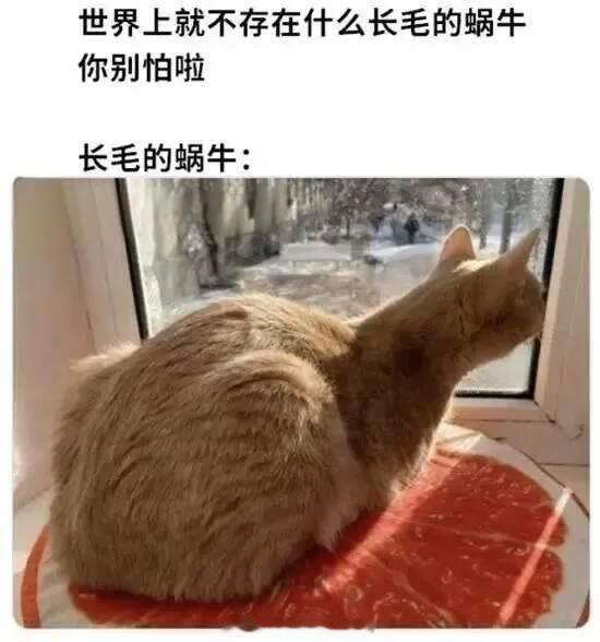 网友投稿图片选集
