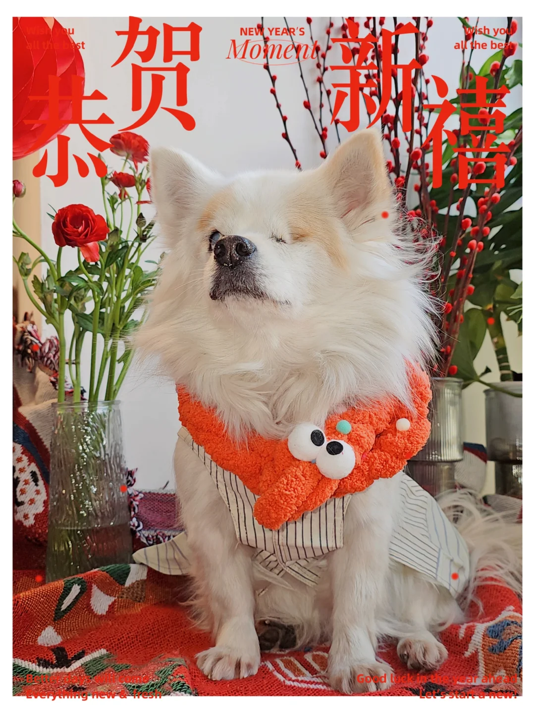我们来拜年啦！