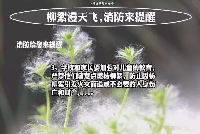每年春季北方都会迎来杨柳飞絮，漫天飞舞的飞絮给人们的日常出行和身体健康带来不小影