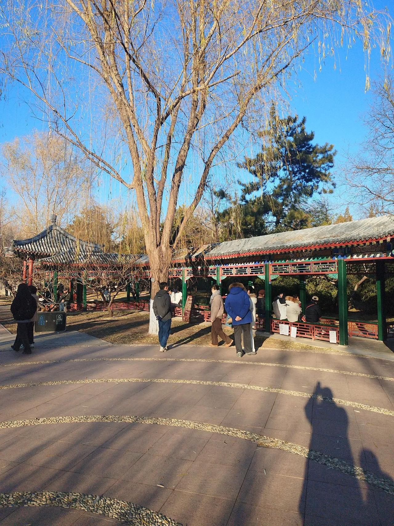蝶恋花    新年来临有思
文/李耀海
已是寒天冬久久，
四季轮回，万象还依旧。