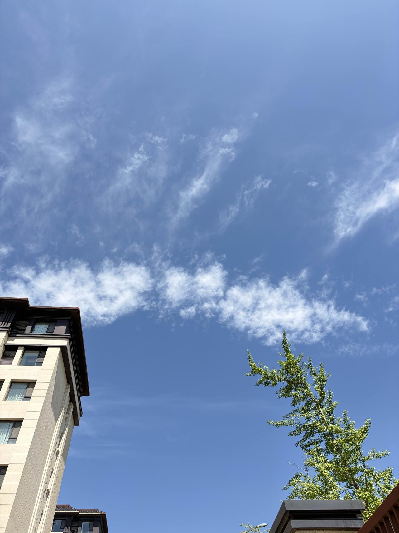 清新治愈

我们总忙着追赶远方，

却忘了抬头看看——

天空的蓝，云的白，树的