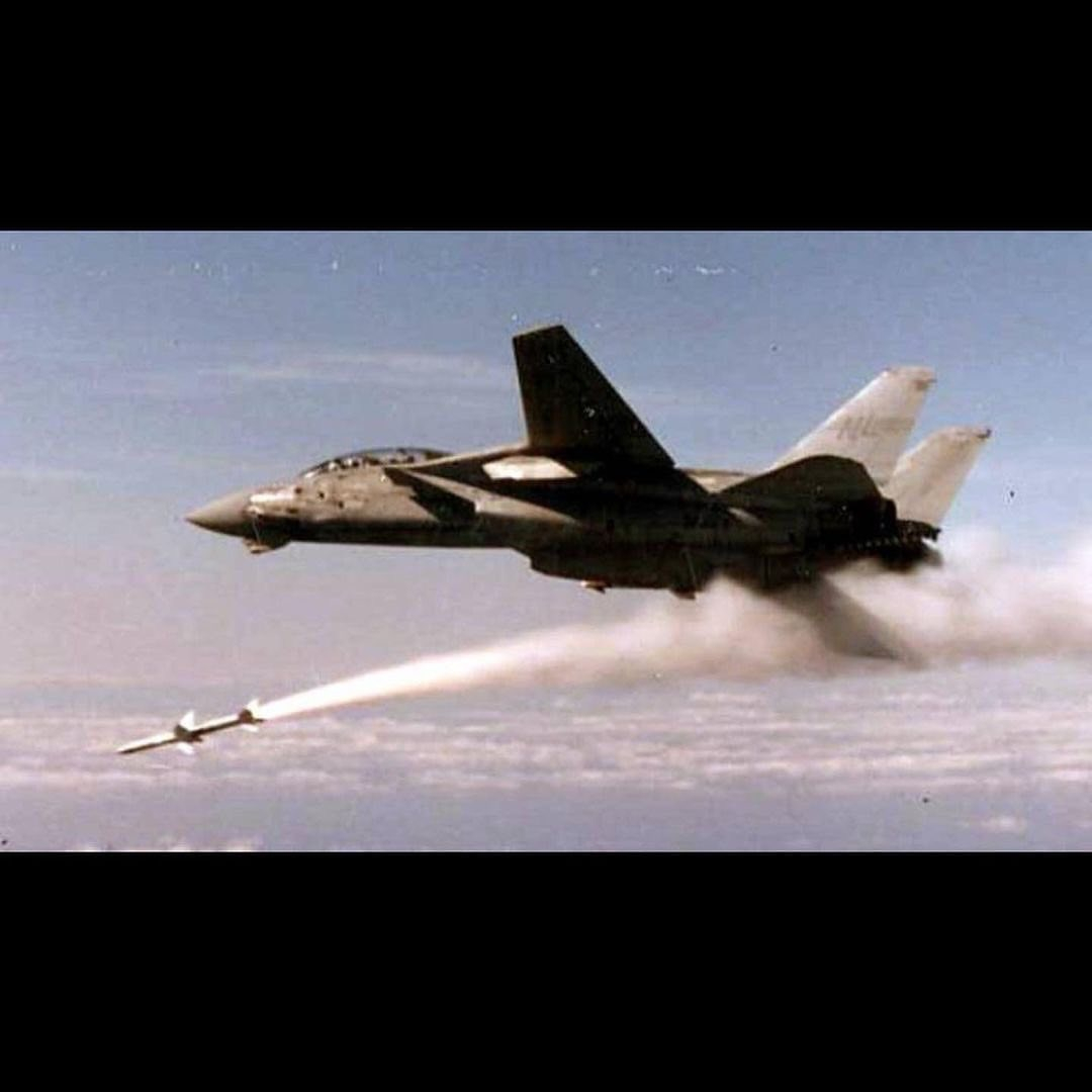 猫宁。VF-51 Screaming Eagles中队旗下F-14大猫们 