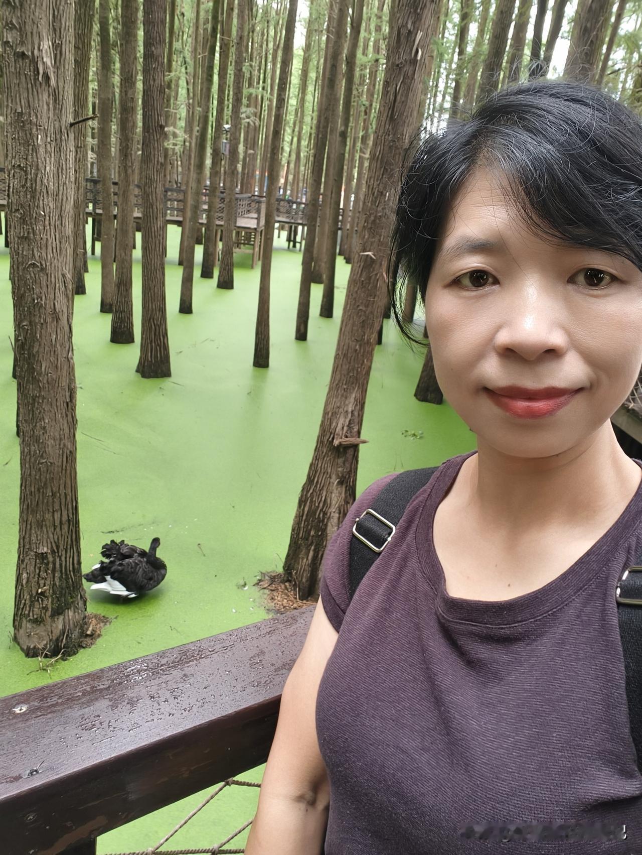 人到五十，半生风雨，半生沉淀。
 
走过了半生奔波，看过了人情冷暖，慢慢明白：人