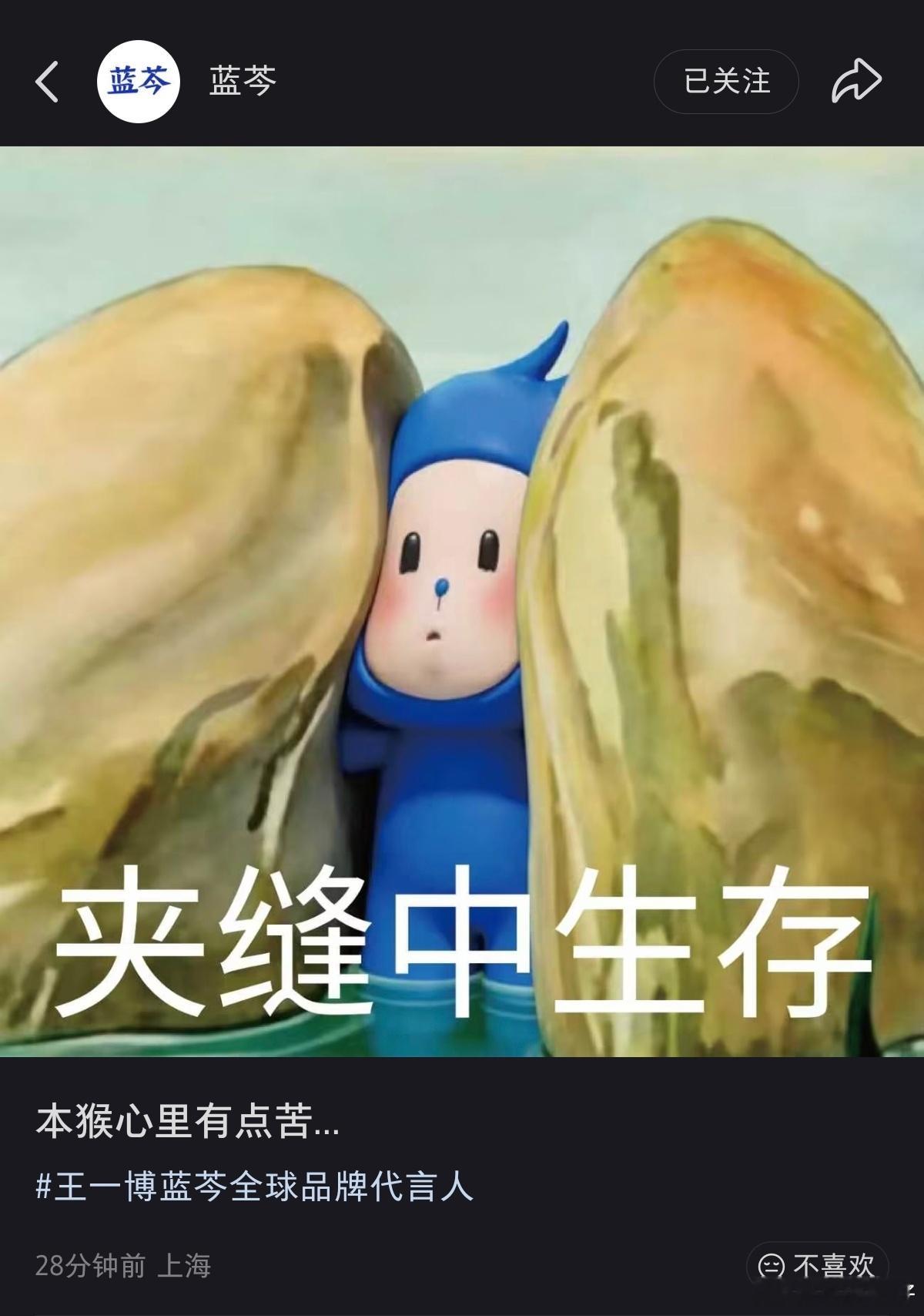哈哈哈哈哈要被猴可爱晕了 ​​​