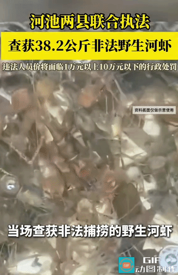 野生河虾成保护动物，还有谁没有听说过的？
 
河池天峨、东兰两县联合渔政执法，拦