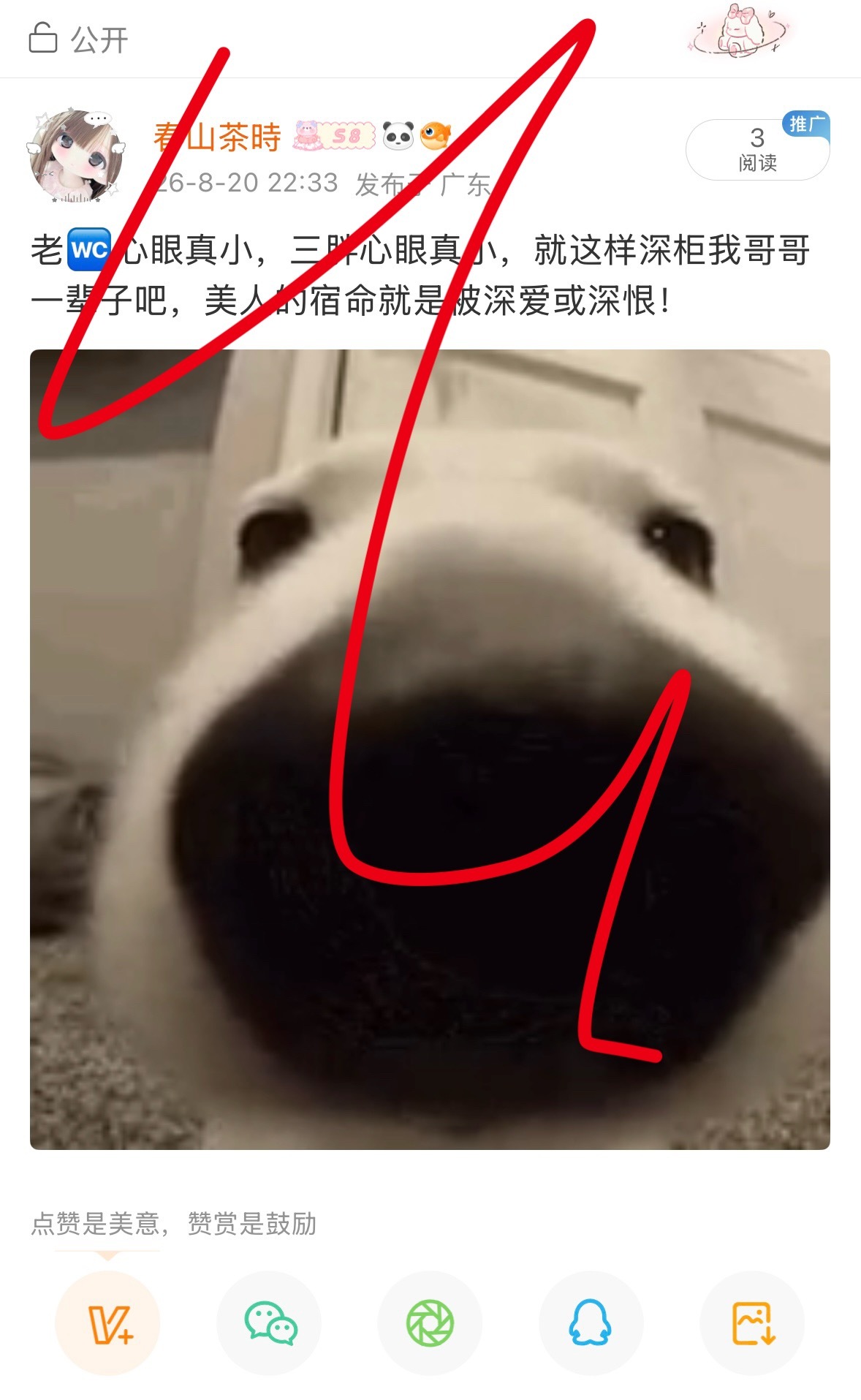 这么文明也要被夹 