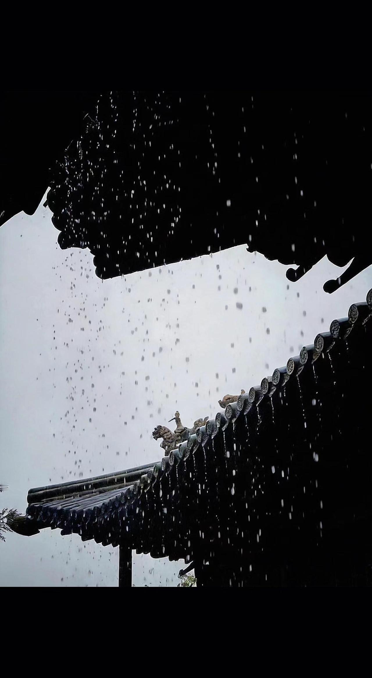 🌧️雨帘垂落，檐角神兽在雾中静默。千年时光，不过一场滴答的诉说。