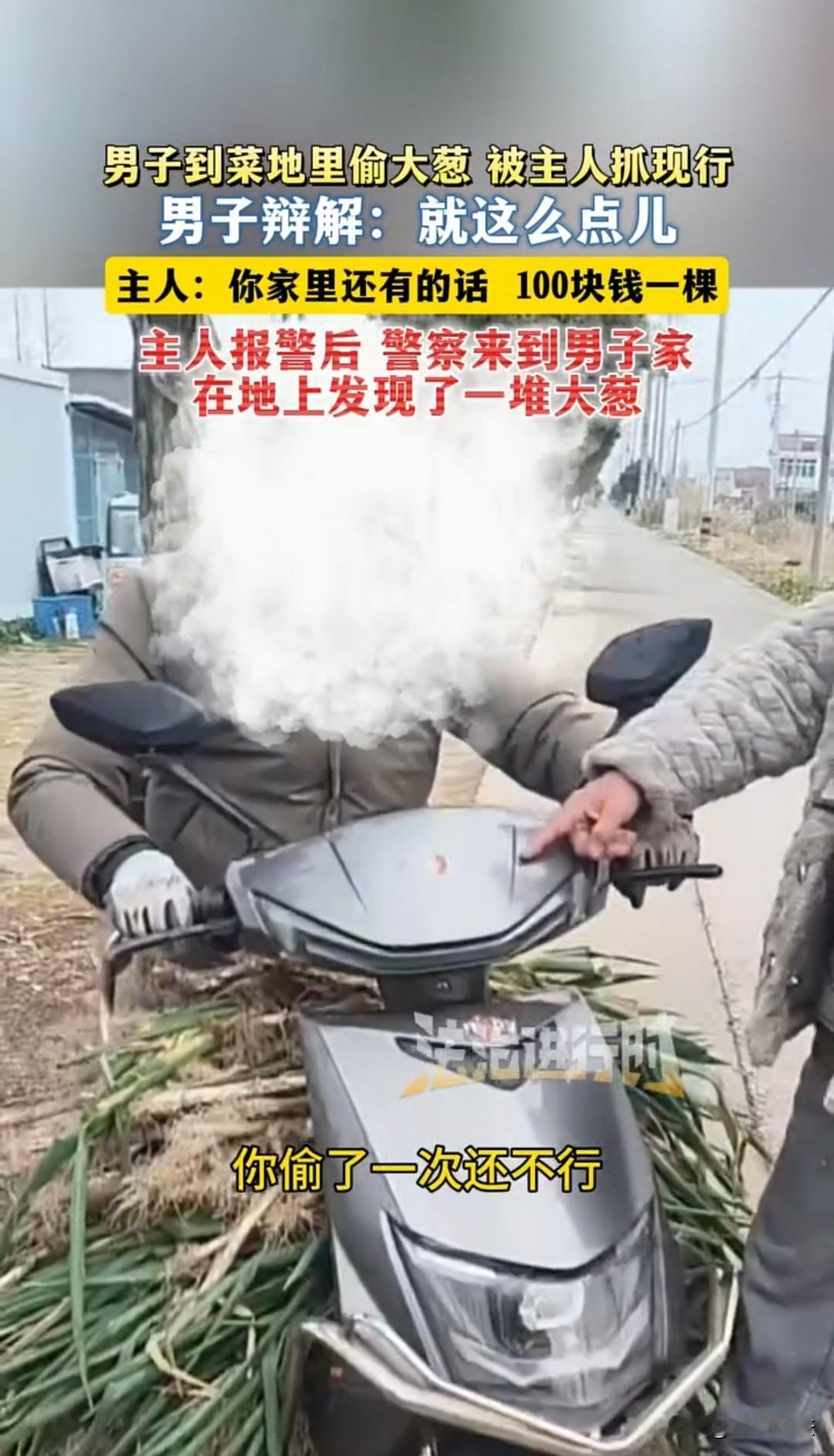 江苏，男子地里的大葱被偷走了一大片，第二天又看到那男子骑着摩托车来偷大葱，对方还