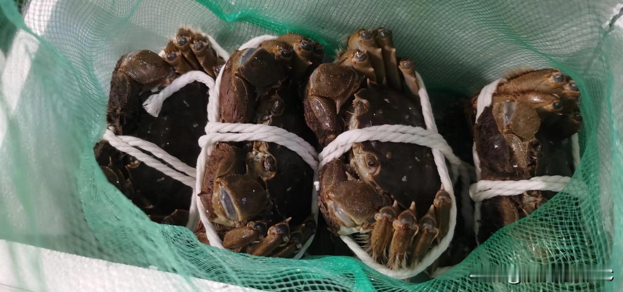 我们每次吃螃蟹都是这么狼狈不堪！估计经常吃螃蟹的人都是有钱有闲的人。

记得第一