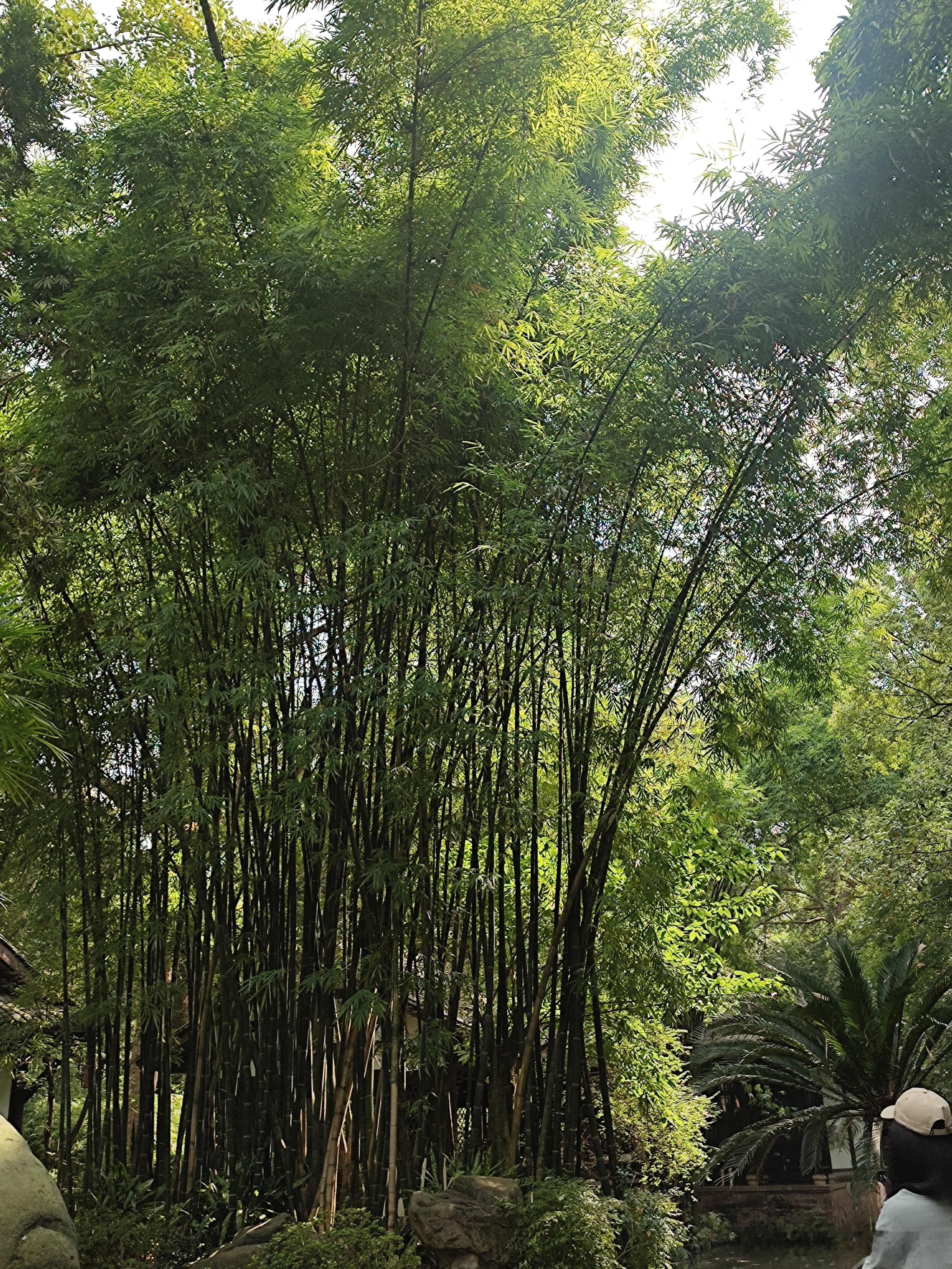 阳光信用[超话]阳光信用💓 益心与你熙路同行 错过了落日余晖，也可以期待满天繁