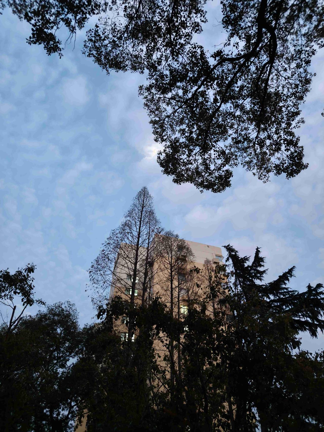 我的今日状态：🏝️旅行度假
我这里的天气：🌤️多云