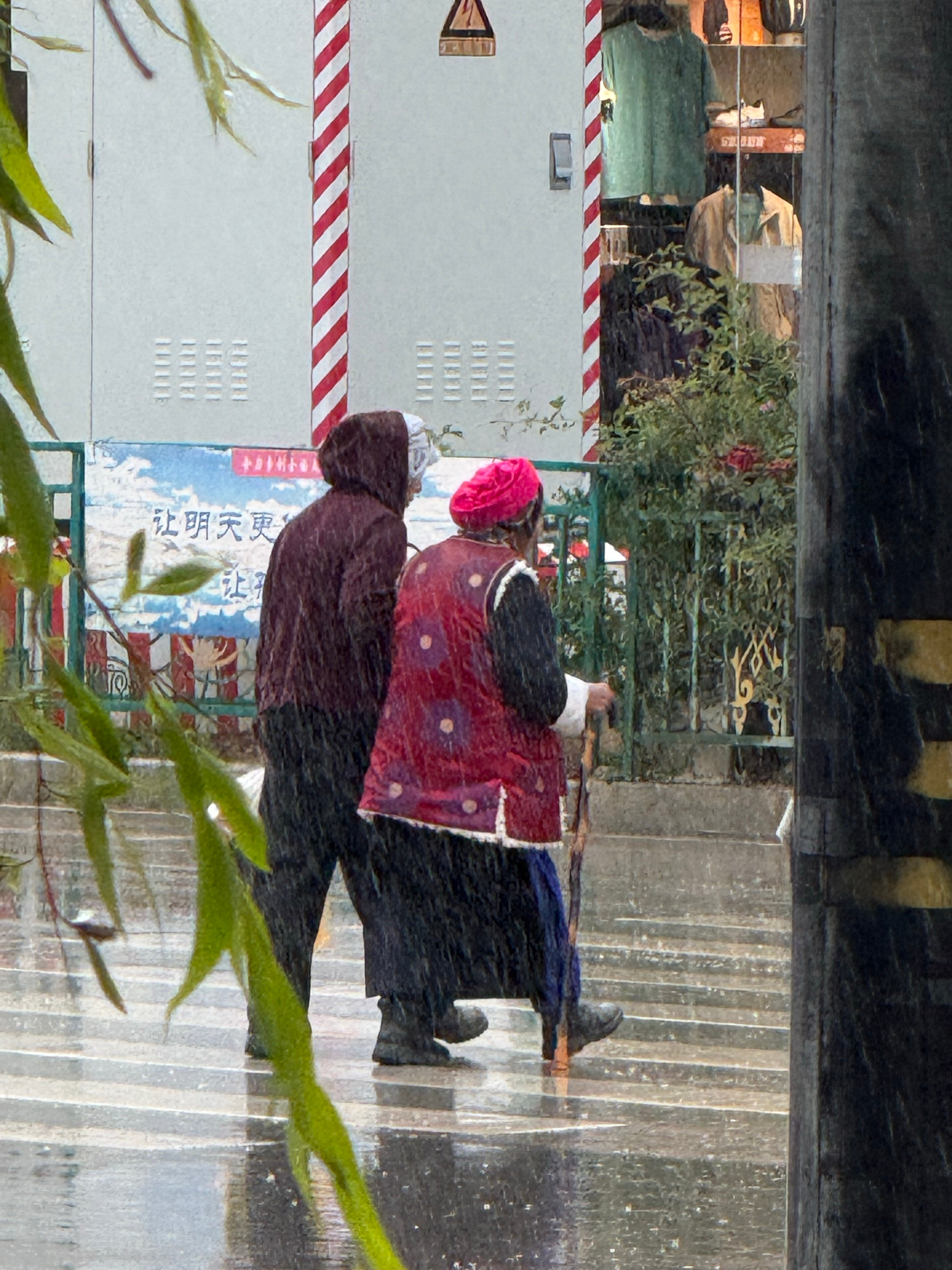 大雨拦不住奔赴的人路边的玫瑰能轻易留住我的目光 迪庆