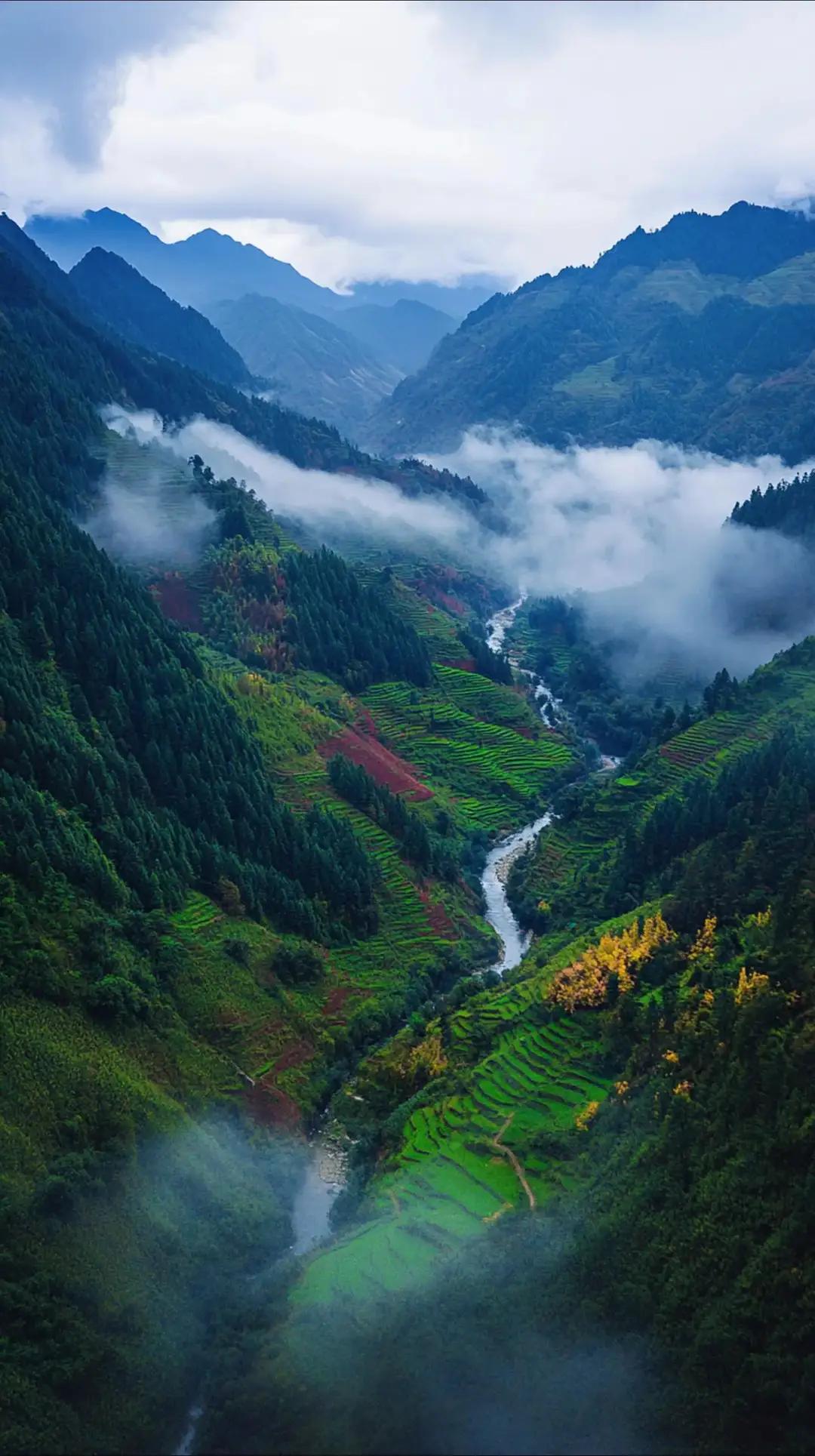 七种顶级思维：构建应对复杂世界的智慧坐标系
思维，是成年人最顶级的自律，也是抵御