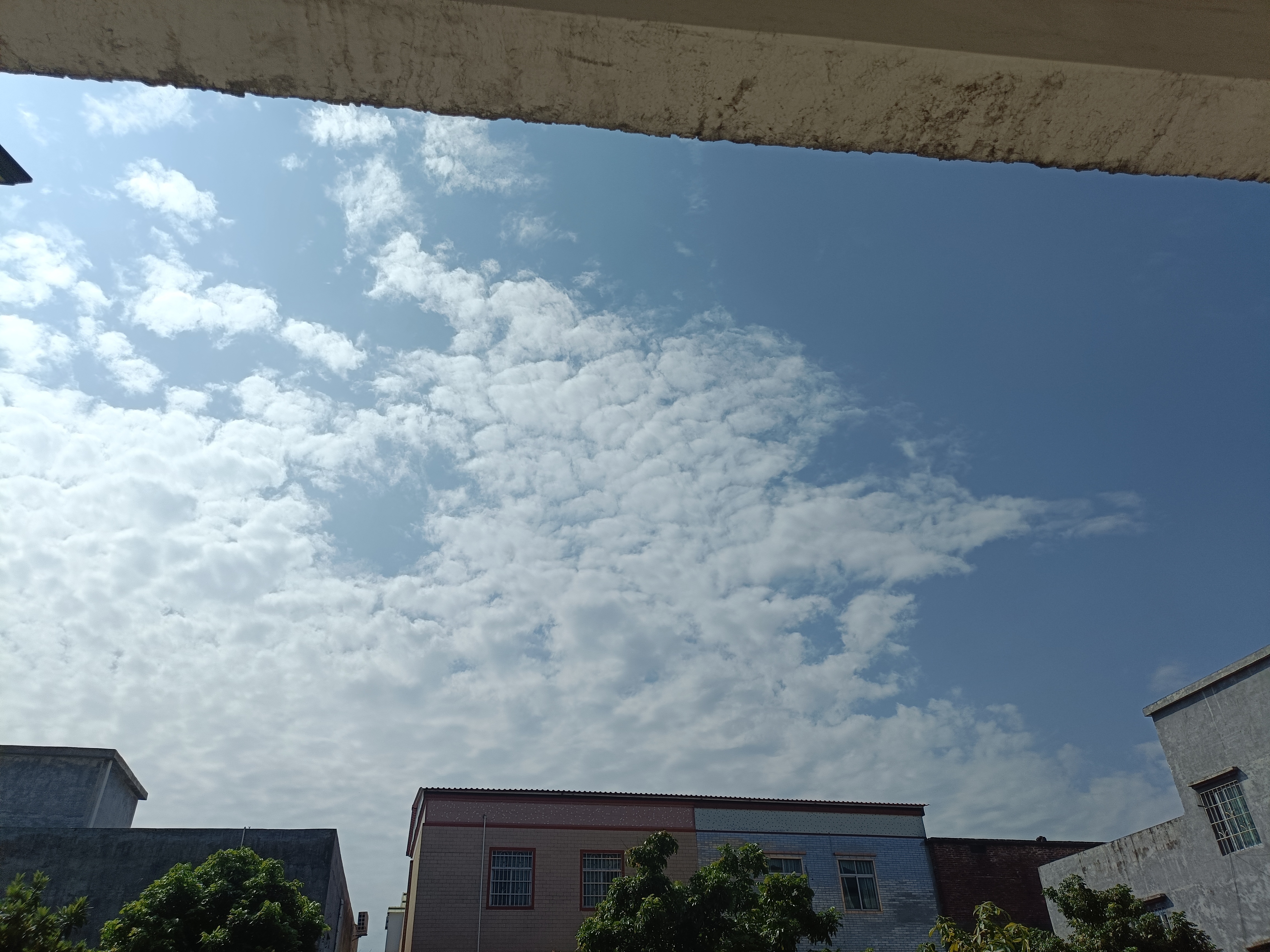 分享图片 ​​​