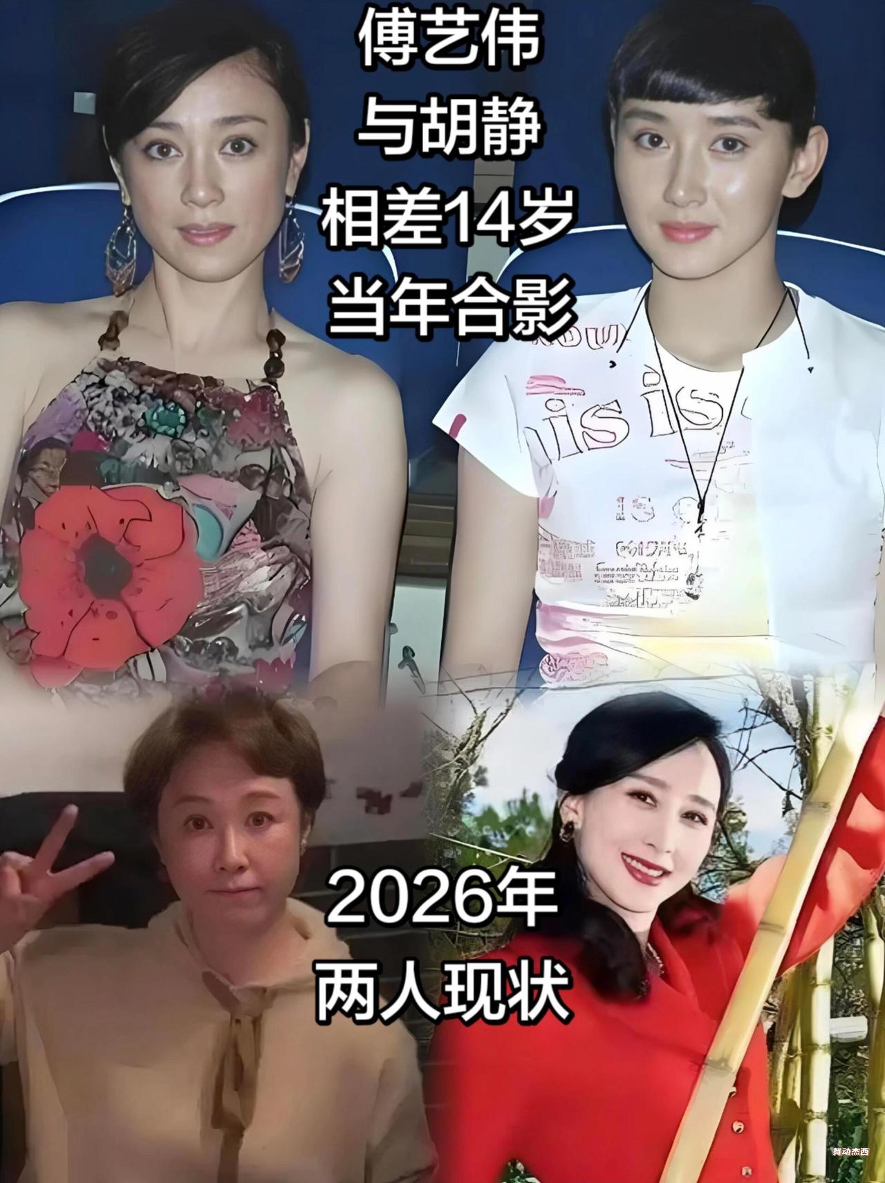 傅艺伟与胡静，一个明艳倾城，一个温婉大气
同样是绝色美人，傅艺伟和胡静，如今人生