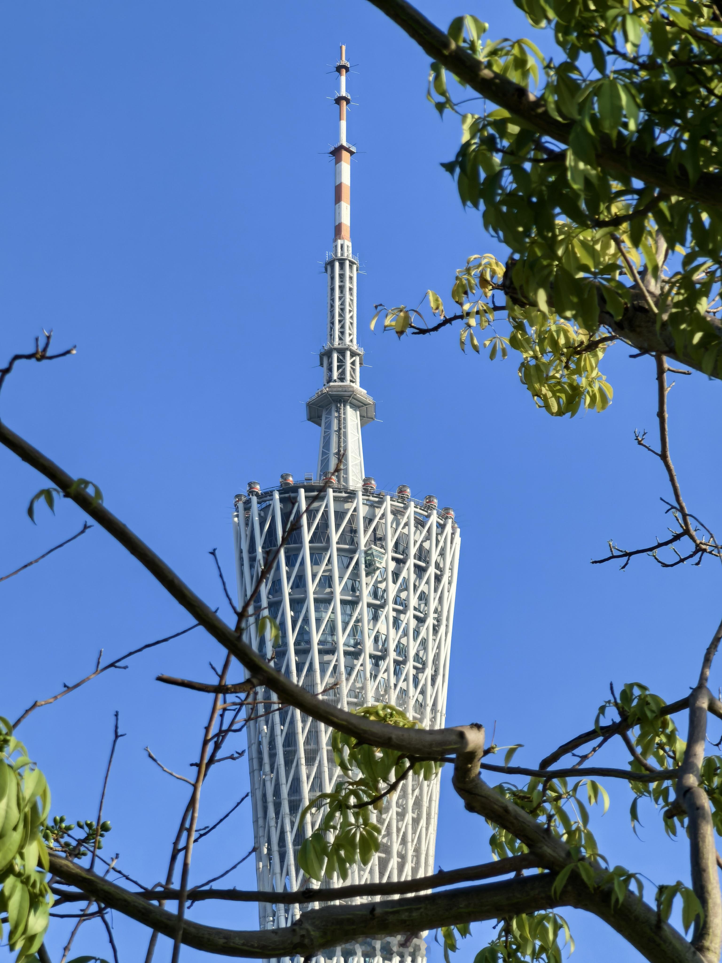 走，好天气，去户外。 