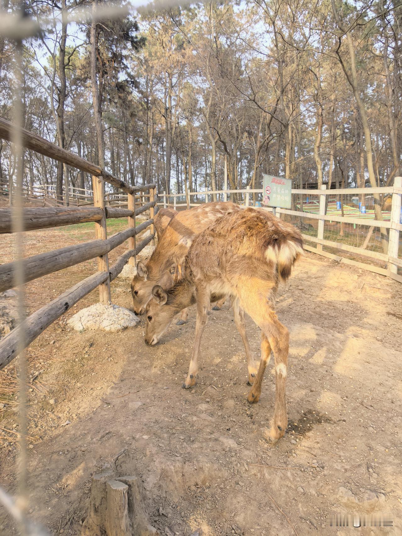 春天的气息立马就来了，正适合出门游玩