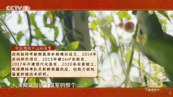 中国人把菜种到了南极南极考察队过年都吃啥南极的冰天雪地也挡不住中国人种菜！中山站
