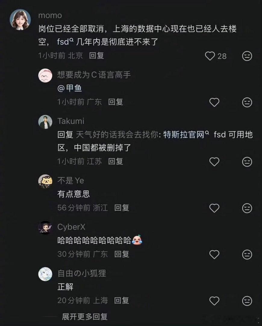 真的假的？特斯拉FSD彻底没戏了？不是刚说要准备落地吗