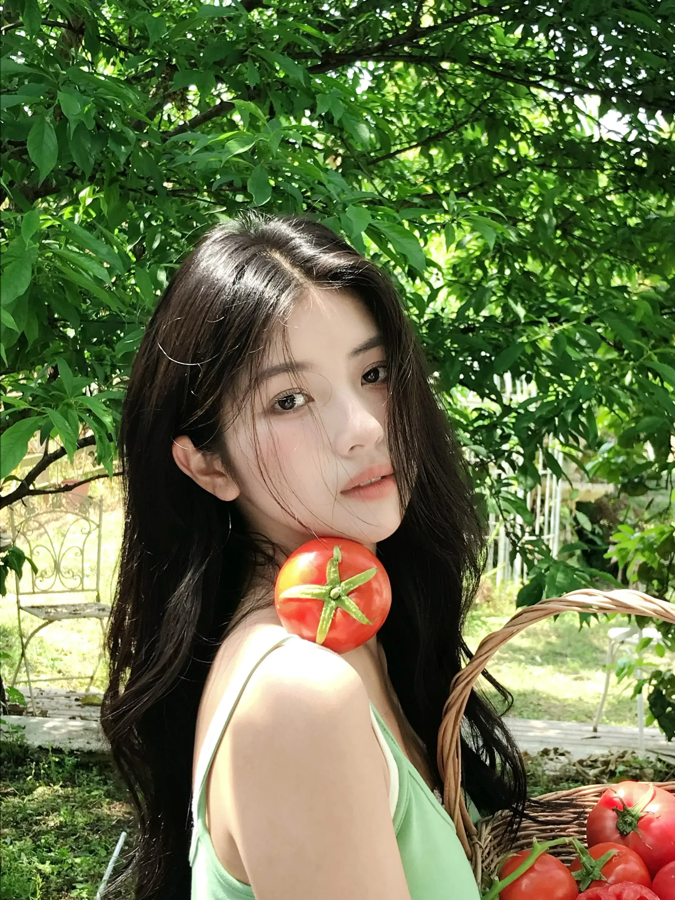 西红柿味道的初夏。