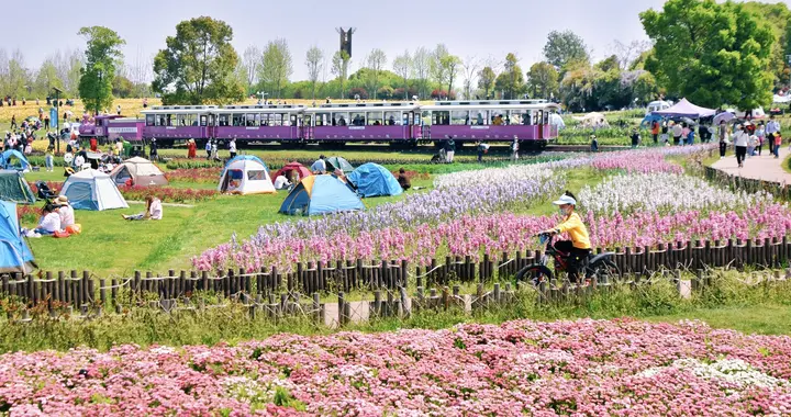 |赏花只看不摘、野餐垃圾打包带，文明旅游成热潮