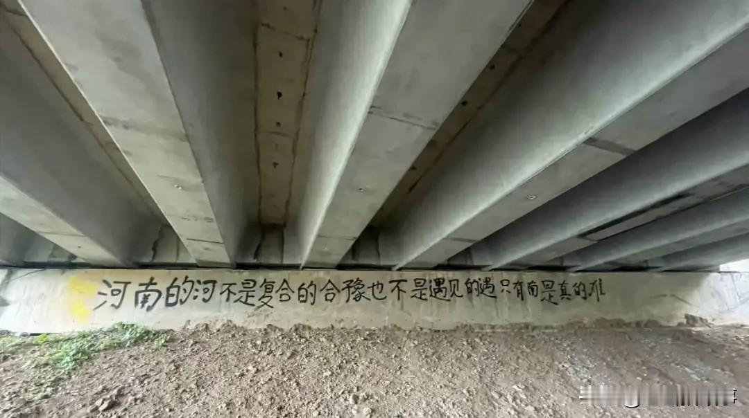 你说这人没文化吧？看看最后一个字的解释，你还敢说没文化吗？“河南的河，不是复合的