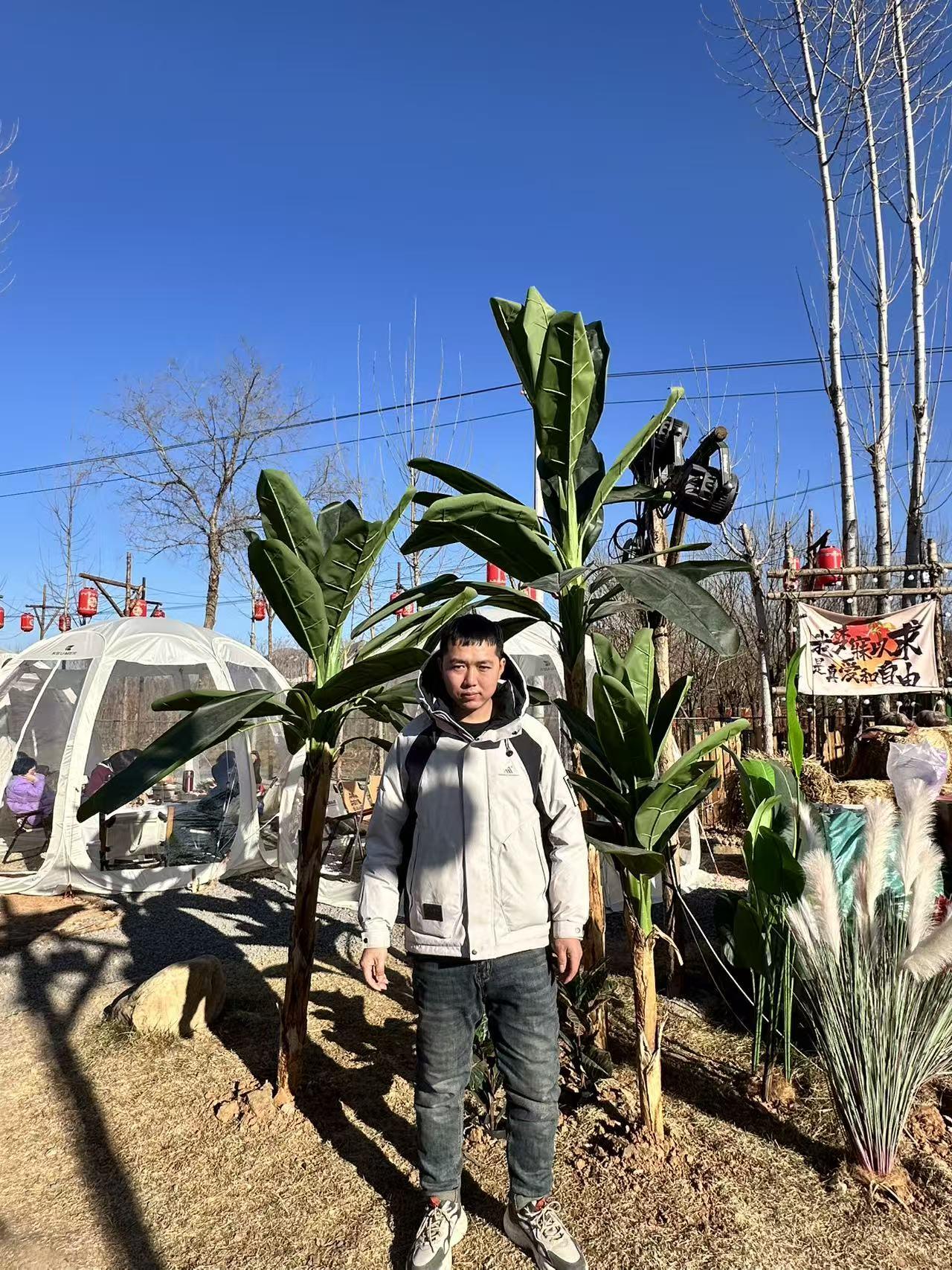 今年冬天的不同