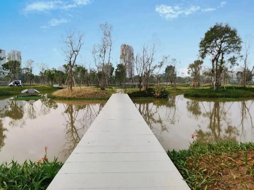 顺德大良云鹭湿地公园｜逛湿地看万鹭齐飞，一站式美食攻略

在顺德大良，藏着一座免