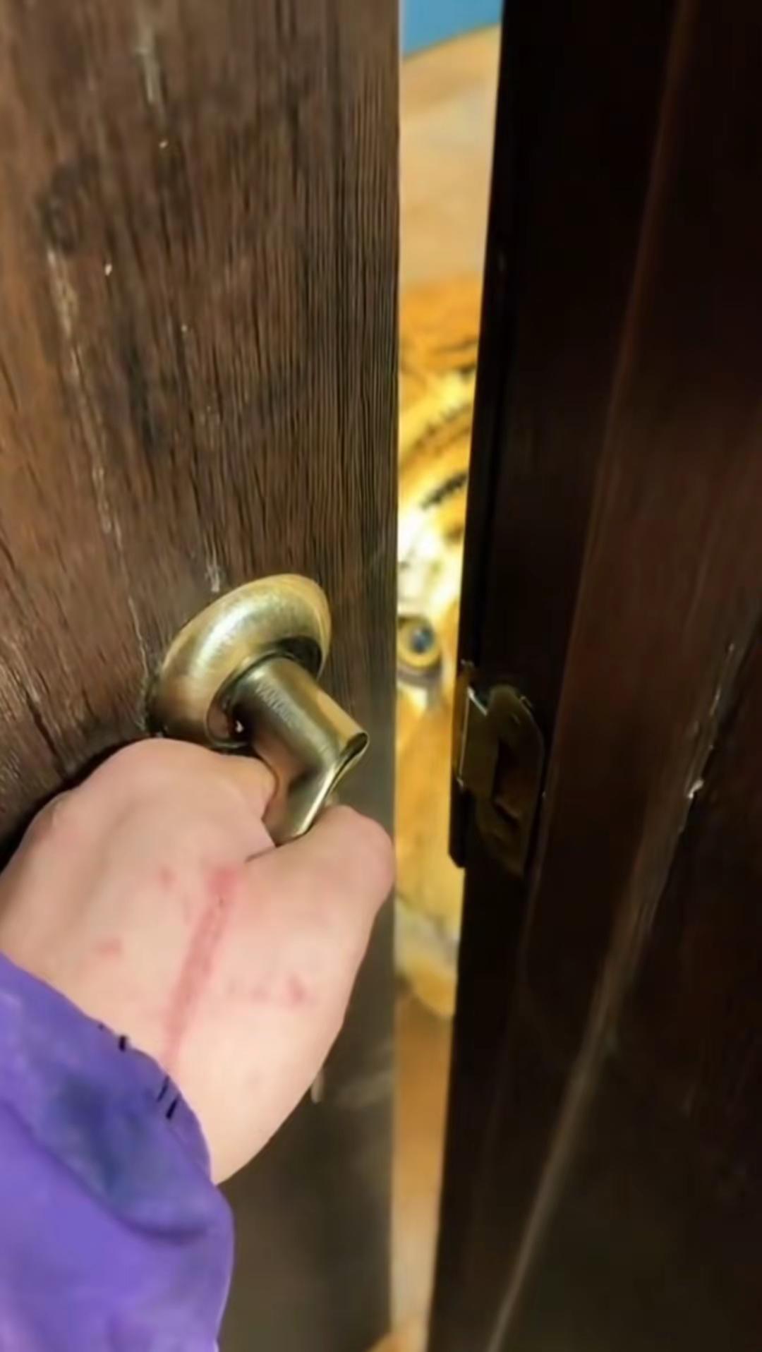 我一兄弟叫我去他家帮忙喂一下猫，我开门一看这猫太大了，我关门就跑了，我赶紧给兄弟