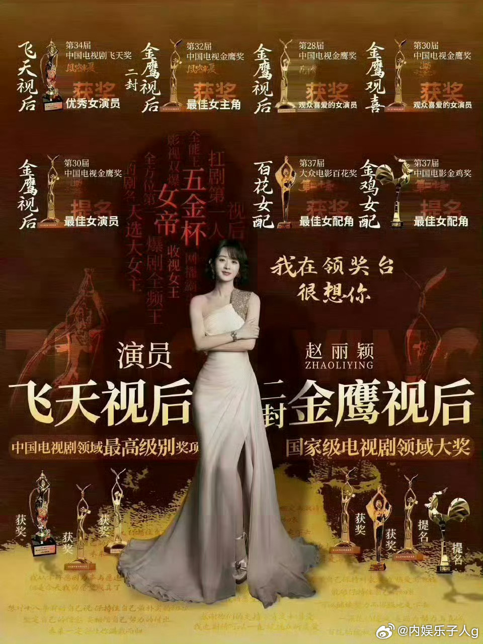 复习一下赵丽颖的实绩飞天金鹰双料视后…赵姐牛b… 