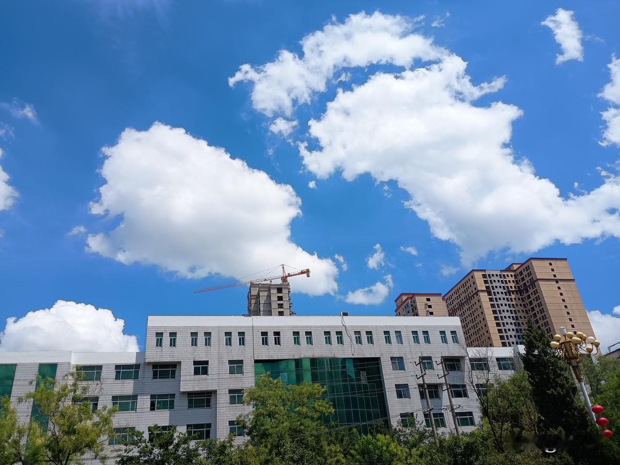 片片绿叶送和风
朵朵红花迎喜雨
八一建军节你有什么祝福想要送给解放军 
——今天