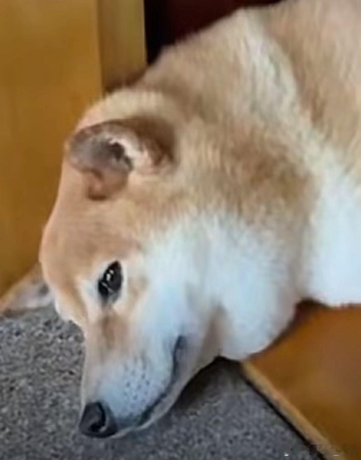 前天找猫三老师约写了一篇《现在就恭喜雷霆卫冕，会不会早了点？》其实我的真实想法是